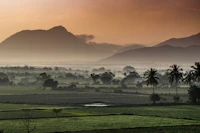 Top Local Restaurants in Coimbatore Every Food Lover Needs to Know