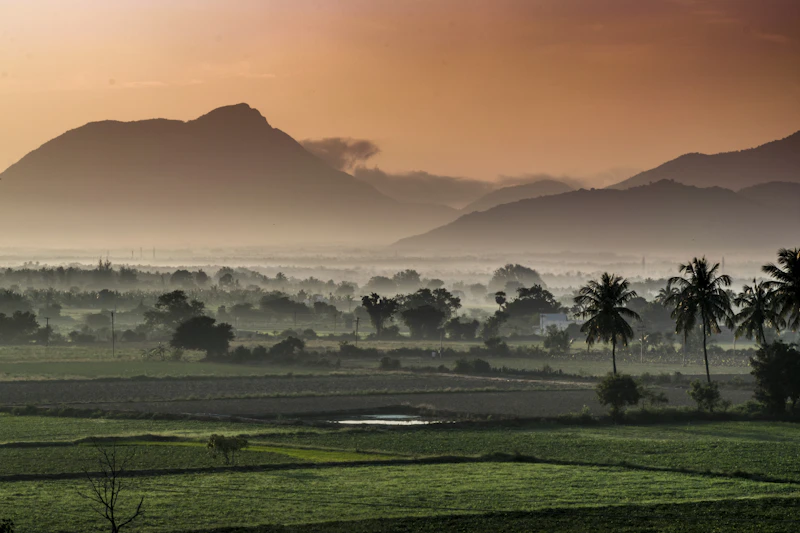 Top Local Restaurants in Coimbatore Every Food Lover Needs to Know