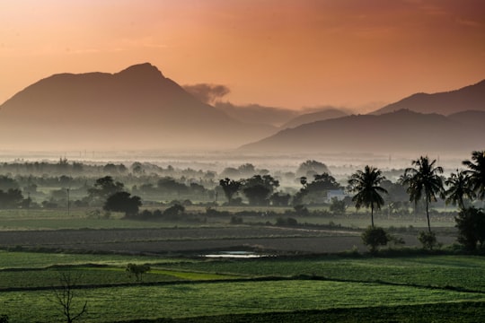 green grass field near mountain during daytime in Coimbatore India