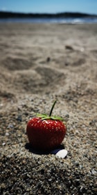 A red strawberry rests on coarse sandy ground at a beach, with the sea and horizon blurred in the background. The scene captures the contrast between the vibrant fruit and the muted earth tones of sand.