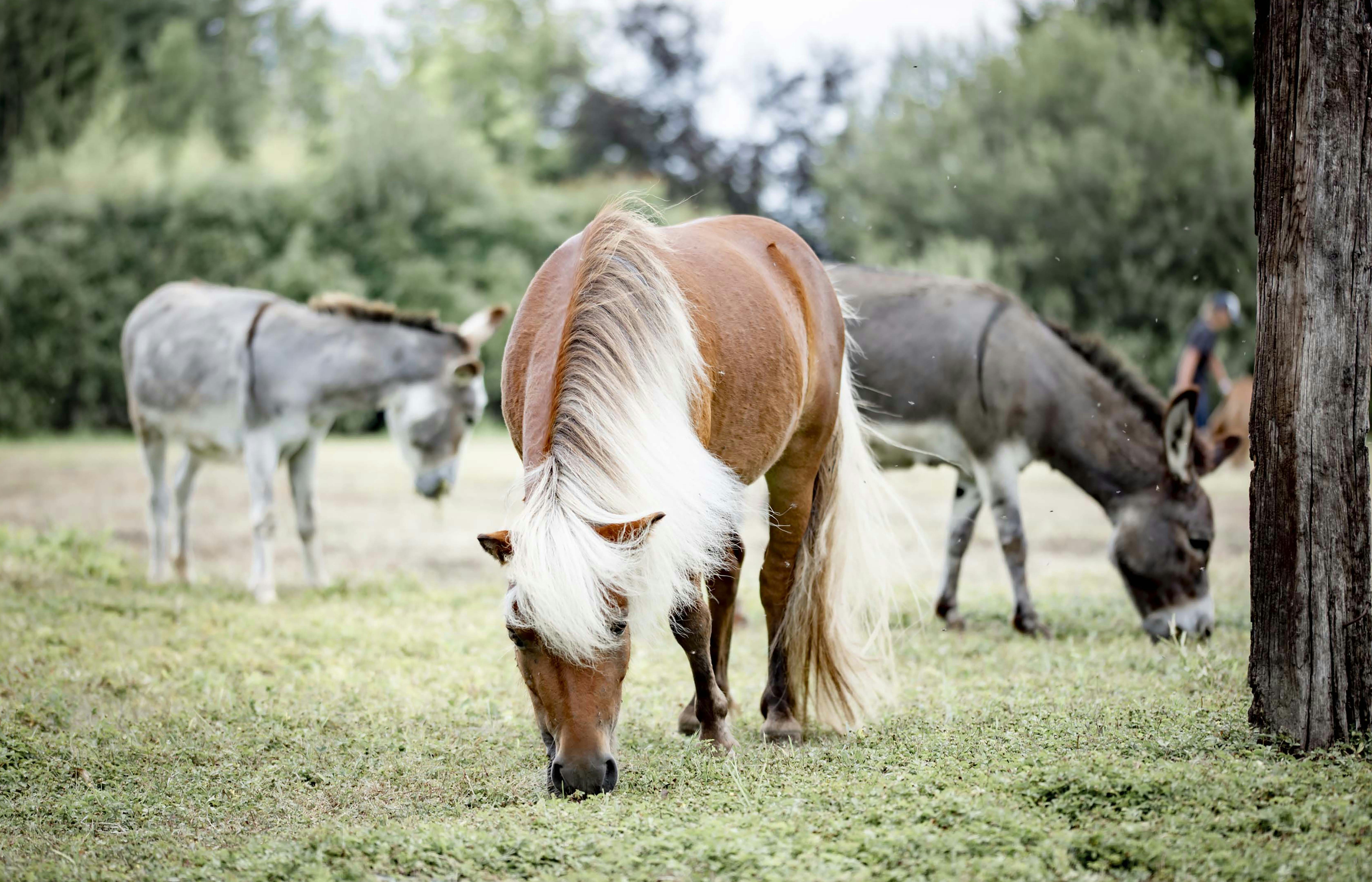 Photo by lauraadaiphoto