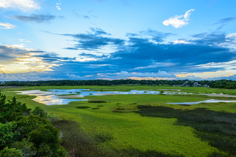 green grass field near body of water under blue sky during daytime