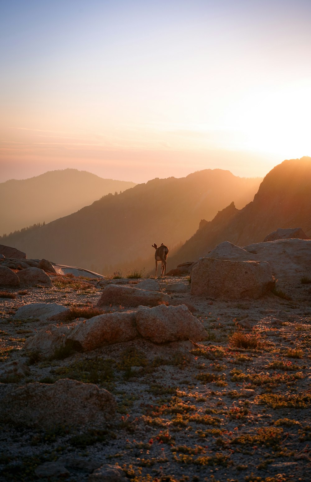 person standing on rocky mountain during daytime