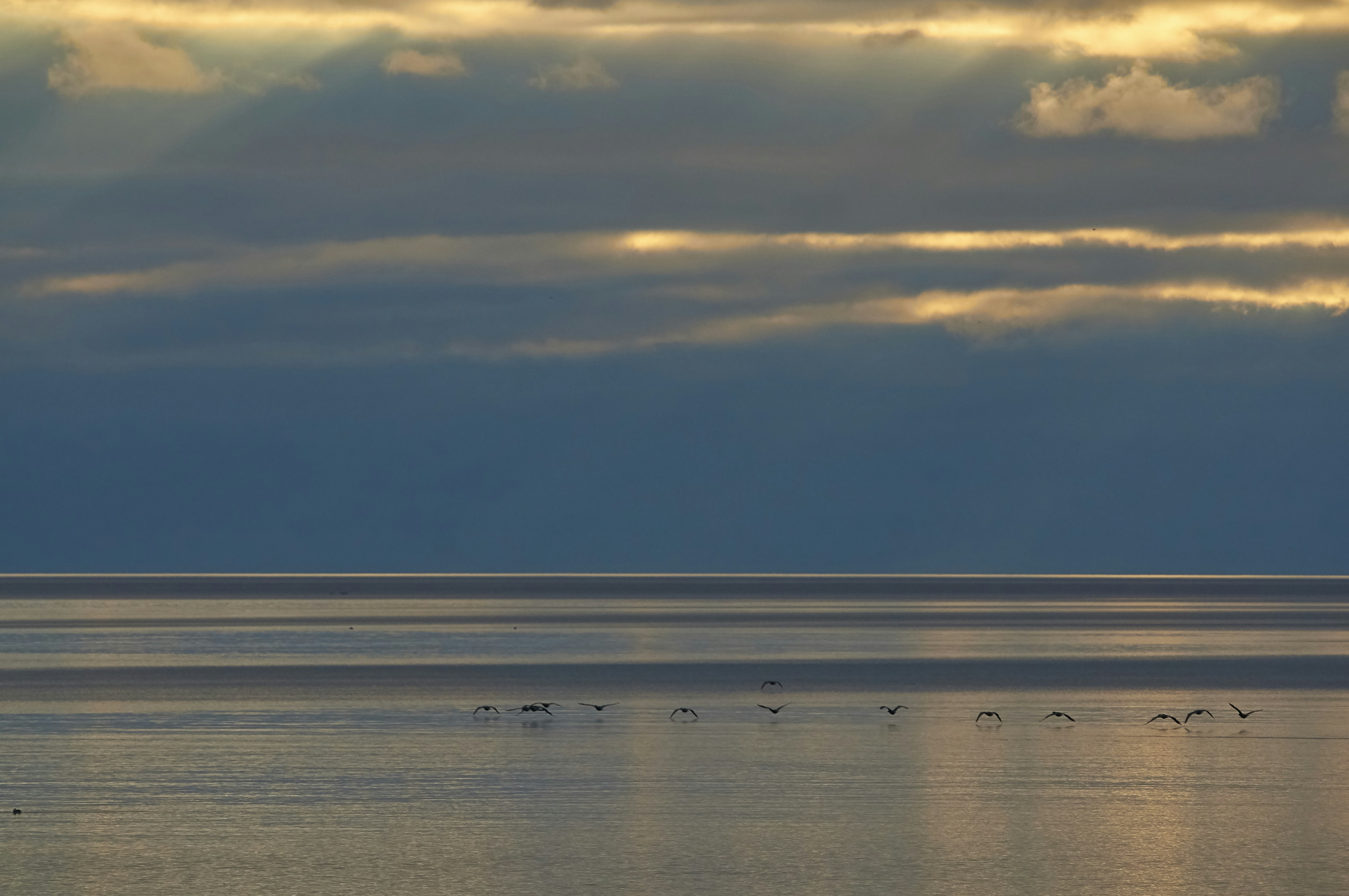 Photo by wolfgang_hasselmann