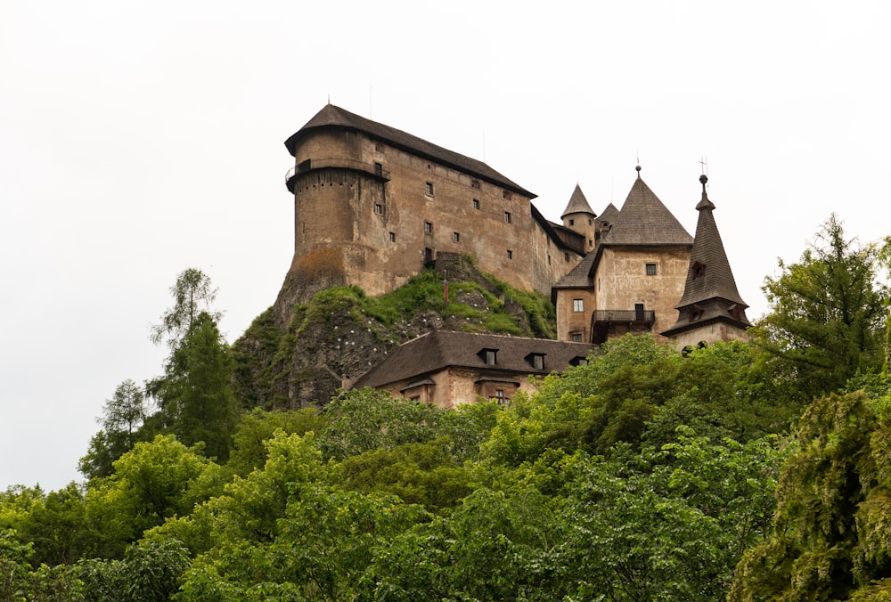 brown concrete castle surrounded by green trees during daytime