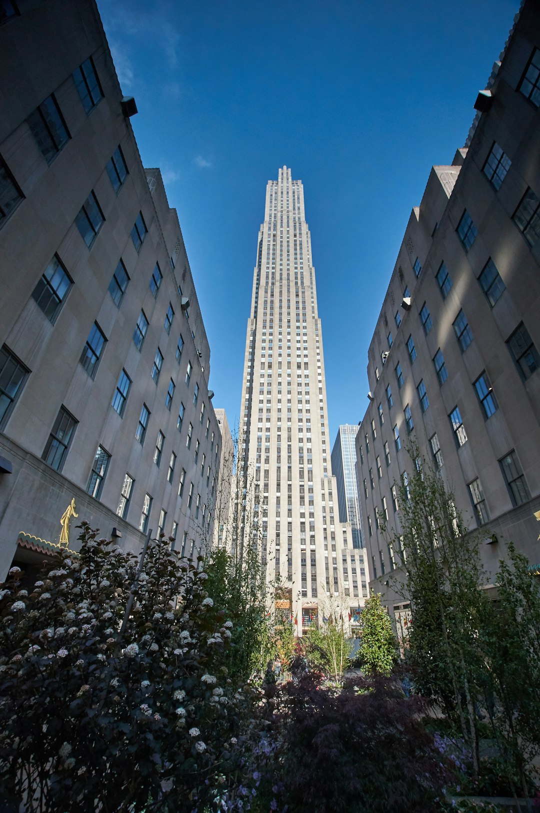 white high rise building during daytime