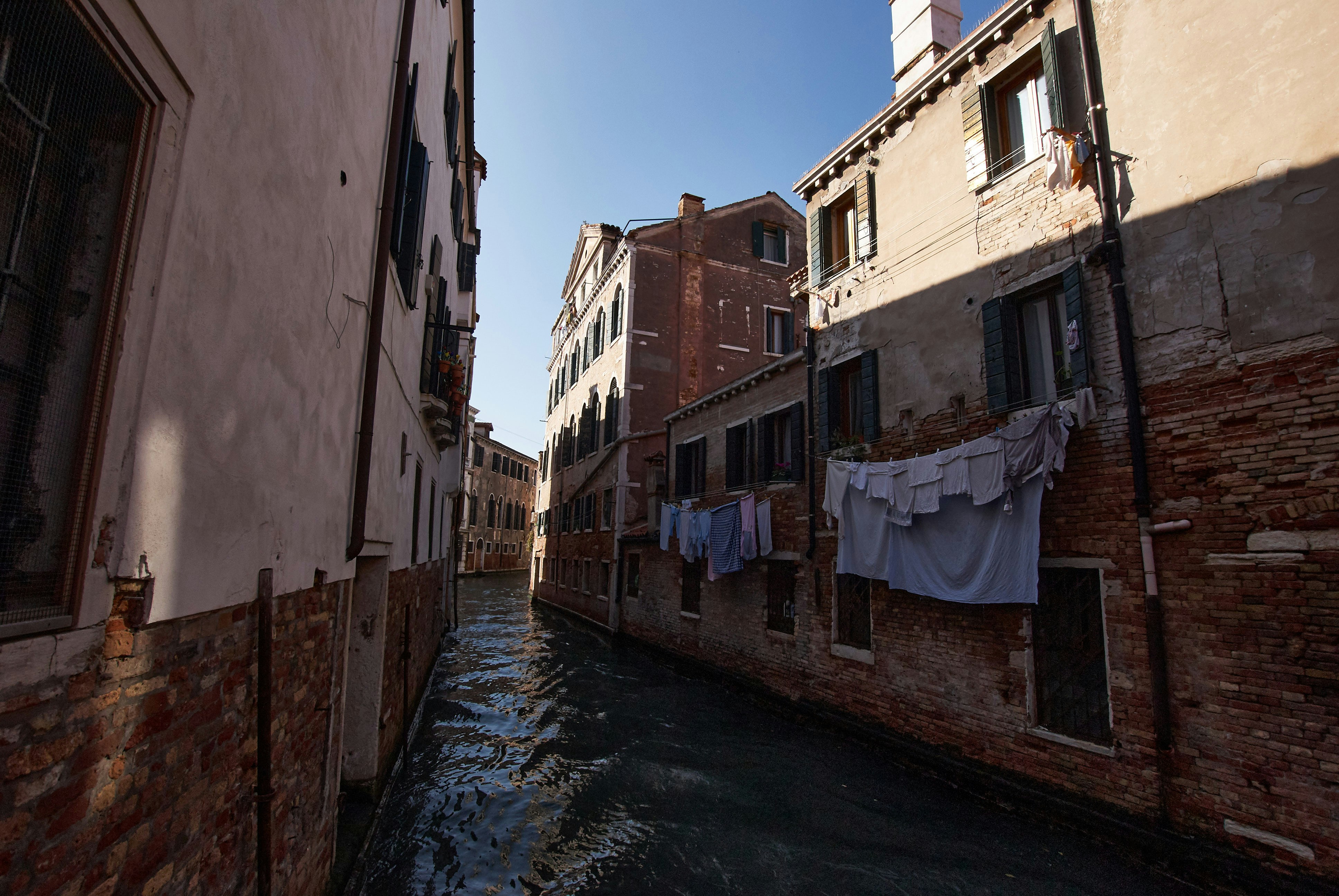 Venice Moose Menu With Prices