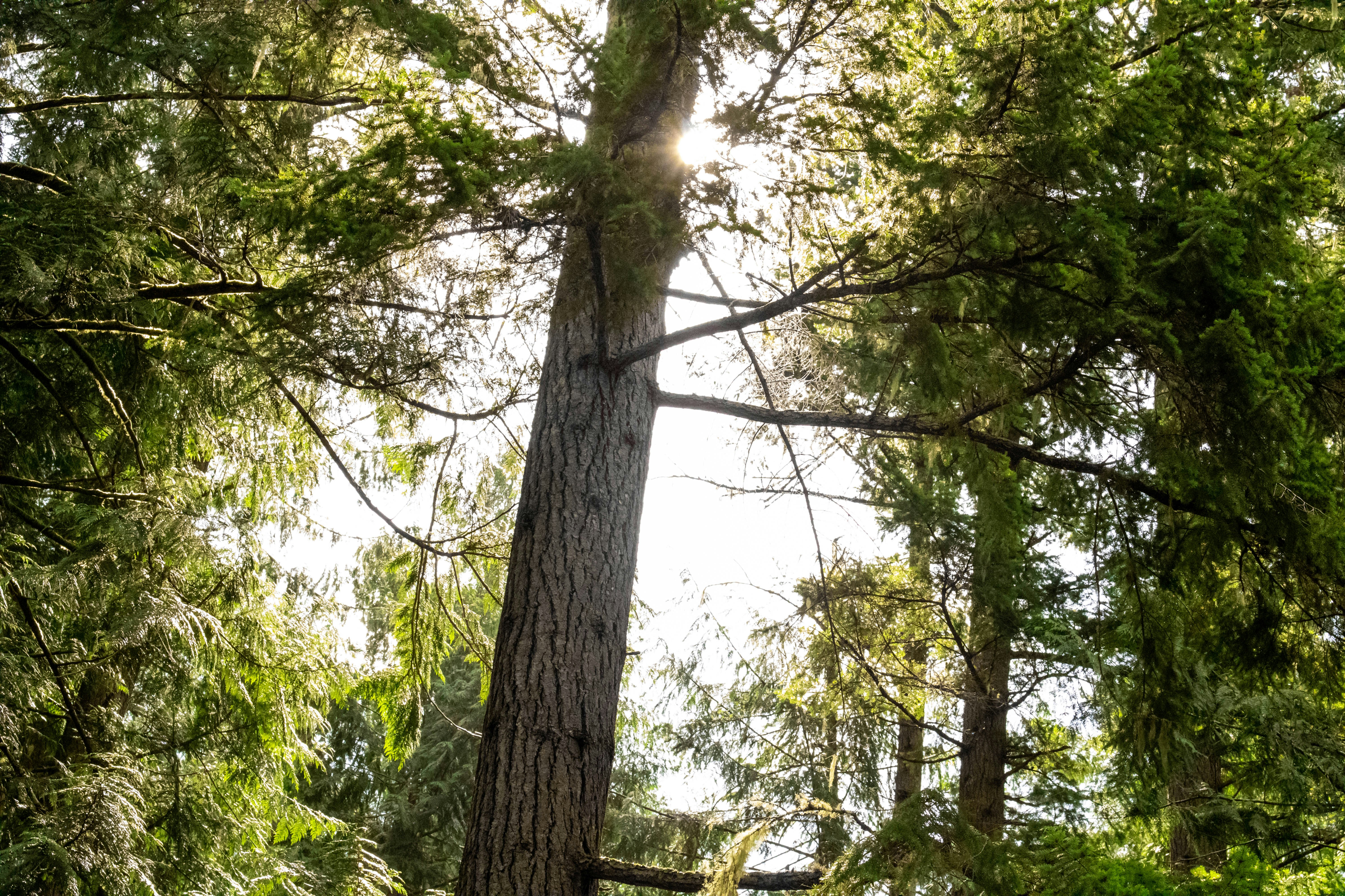 Photo by jeffersonsees