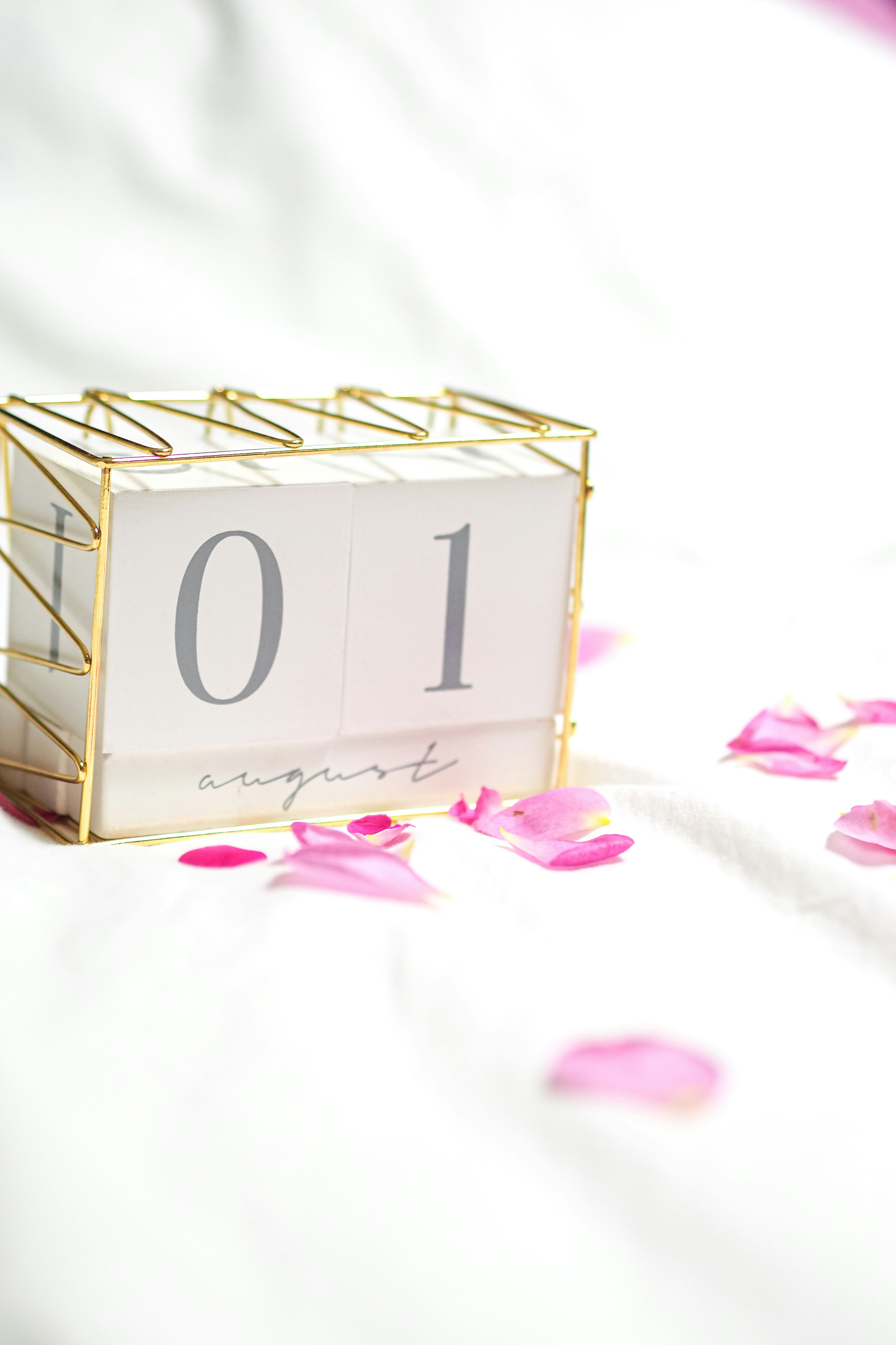 Book Your Appointment Today