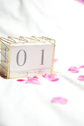 Soft pink and white calendar with marked dates for beauty sessions.