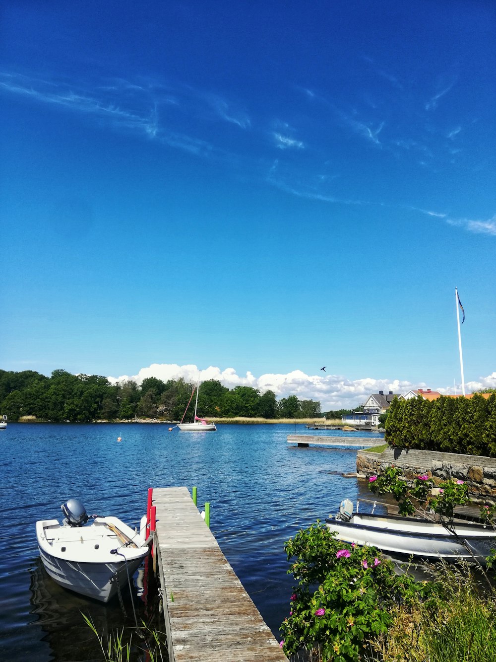 white boat on dock during daytime