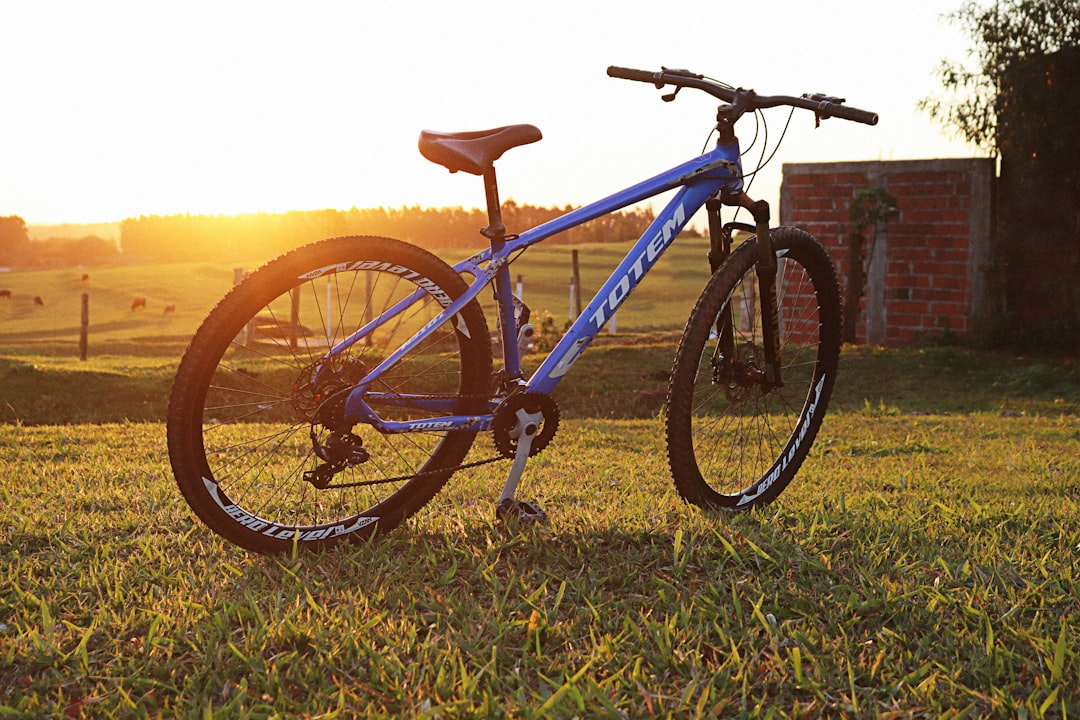 blue and black road bike on green grass field during daytime