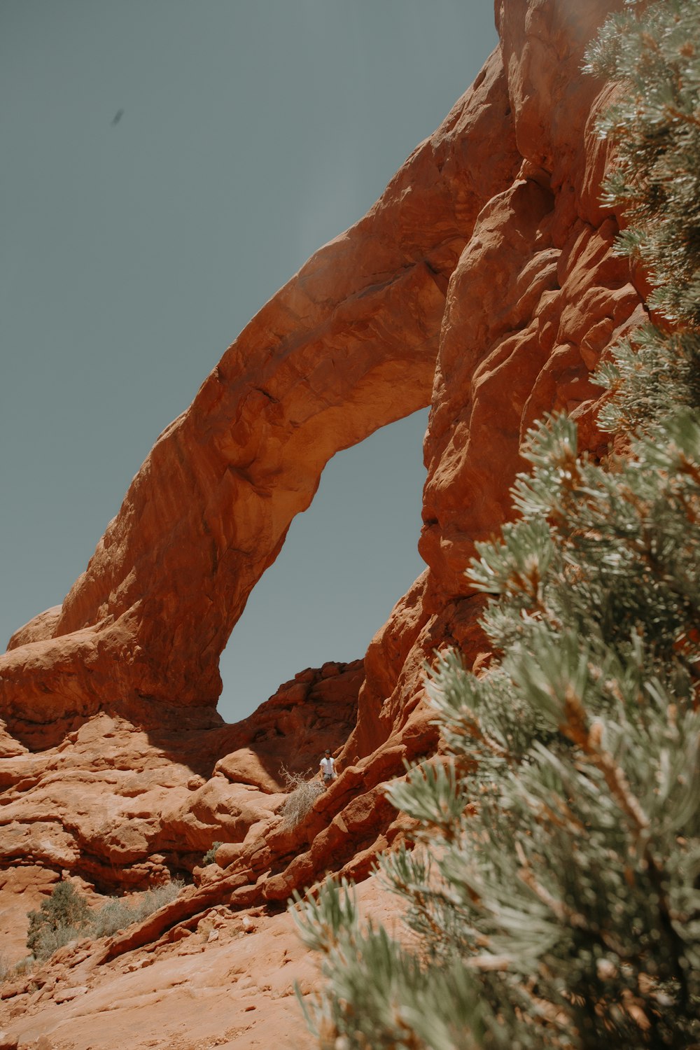 brown rock formation during daytime