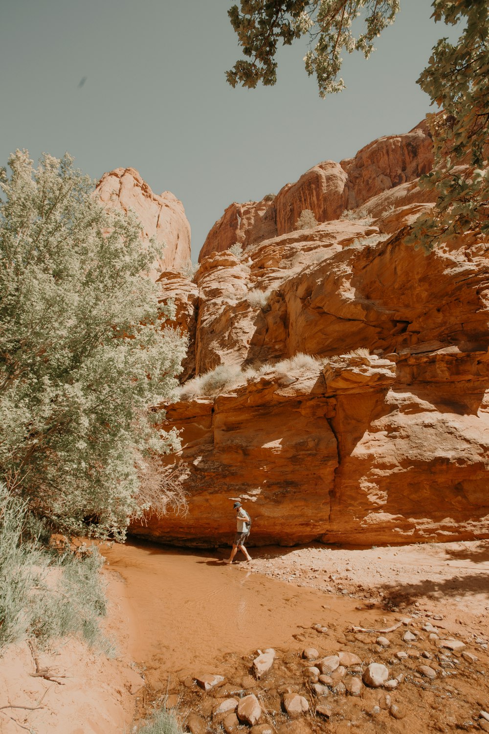 person walking on brown rocky mountain during daytime