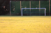 A panoramic view of a soccer pitch rendered in layered green hues with subtle animation.
