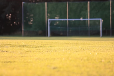 An expansive sports field under a bright sun.