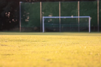 An expansive sports field under a bright sun.
