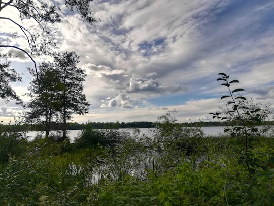 green grass field near body of water under cloudy sky during daytime in Växjösjön Sweden