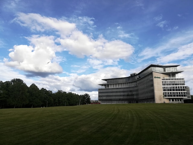 Western New England University