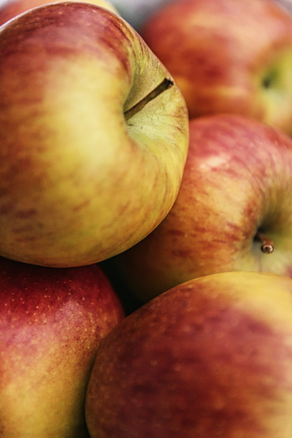 red and green apple fruit