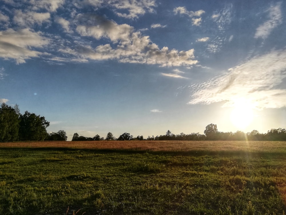 green grass field under blue sky and white clouds during daytime