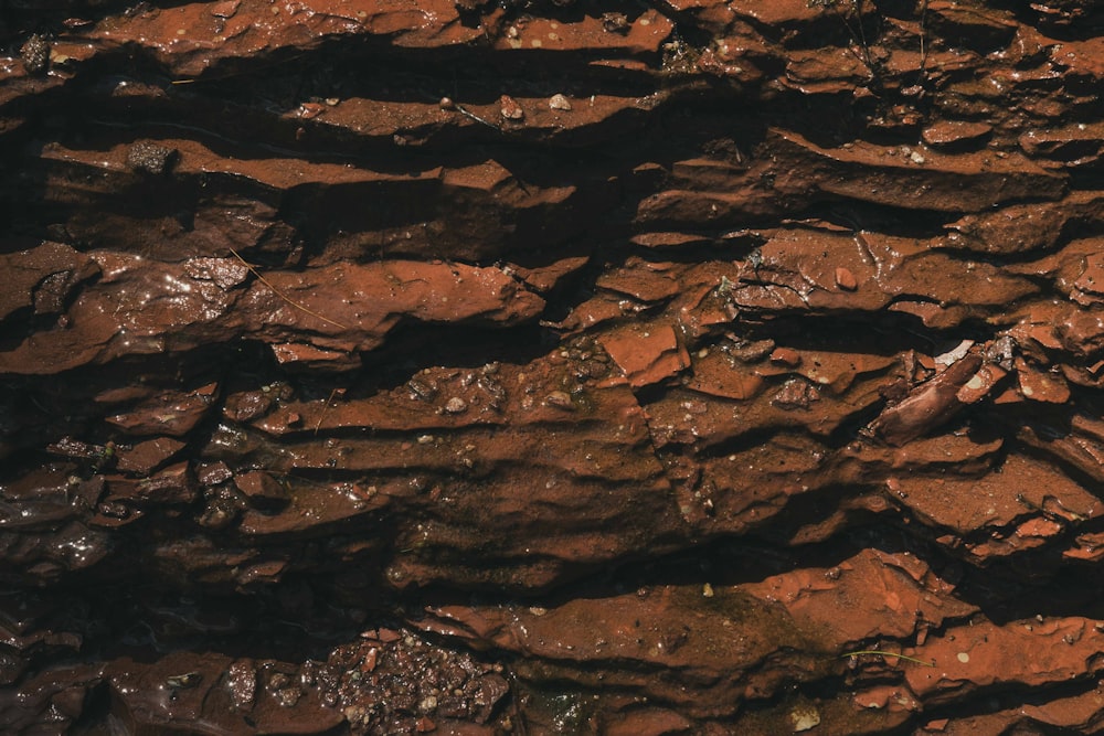 brown and black rock formation