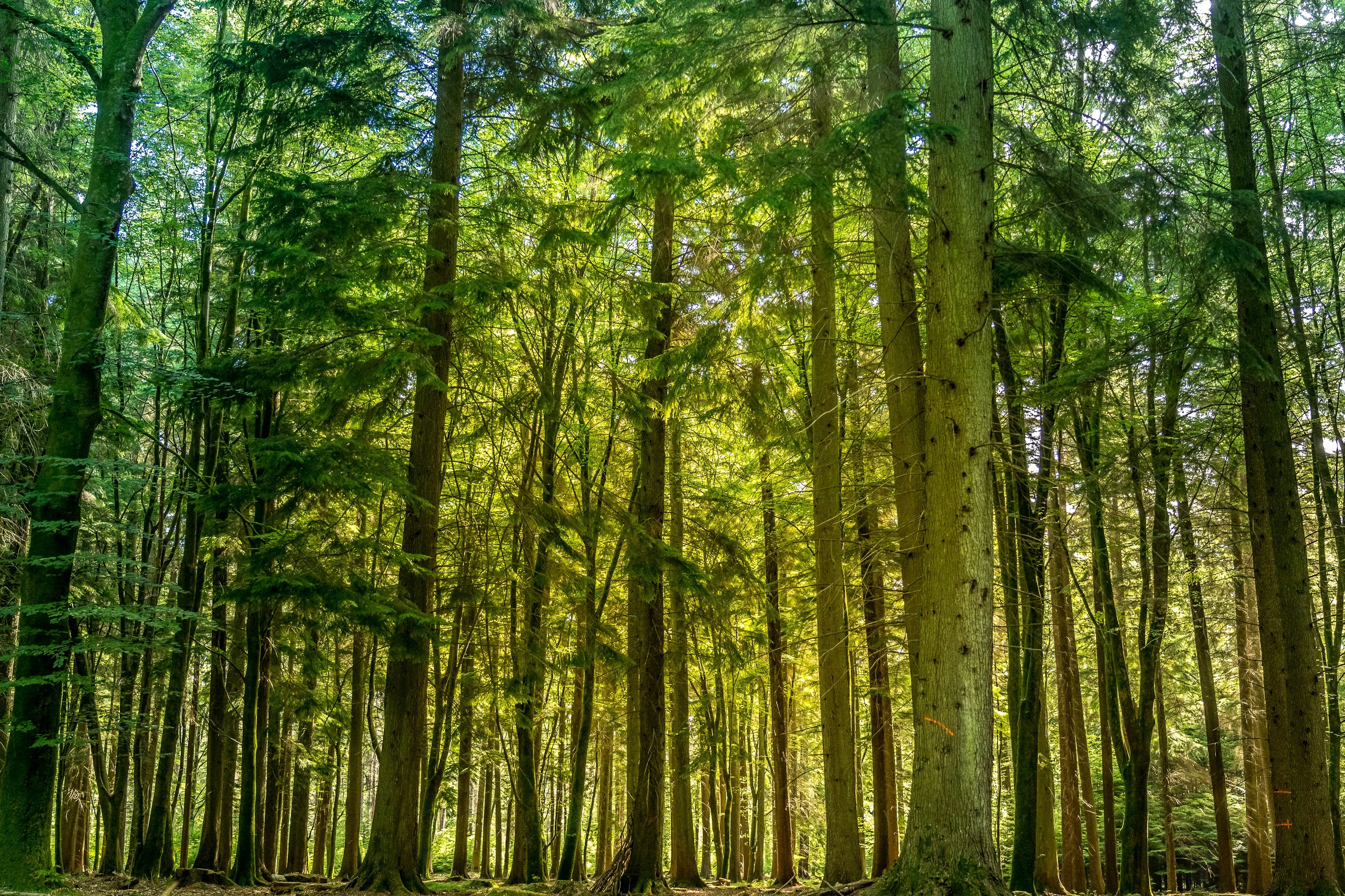 Photo by jannerboy62