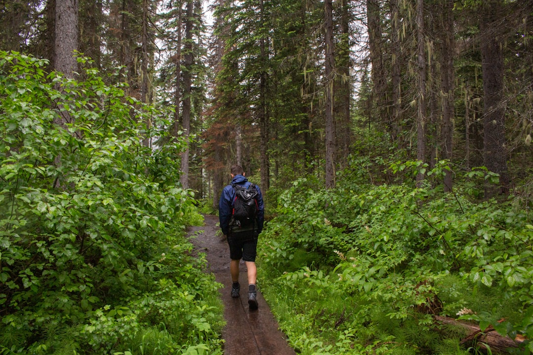 Forest photo spot Emerald Lake Johnston Canyon