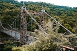 brown wooden bridge over green trees during daytime