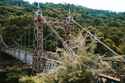 brown wooden bridge over green trees during daytime