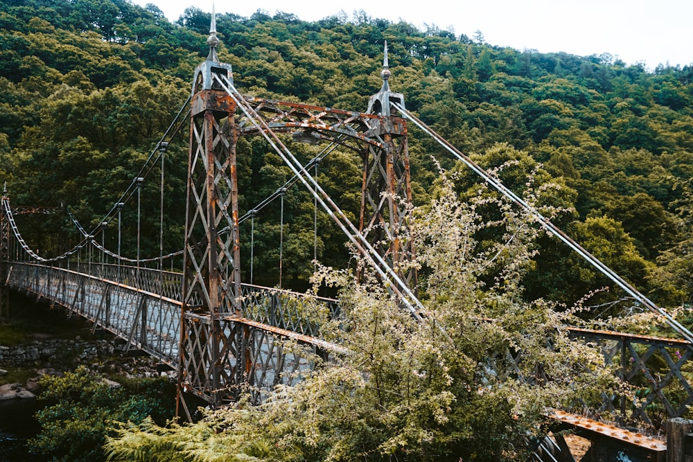 brown wooden bridge over green trees during daytime