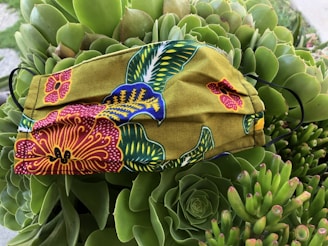 A colorful fabric face mask with intricate floral patterns in red, blue, yellow, and green lies on a bed of lush green succulents. The mask's vivid design contrasts with the natural textures of the succulent leaves.