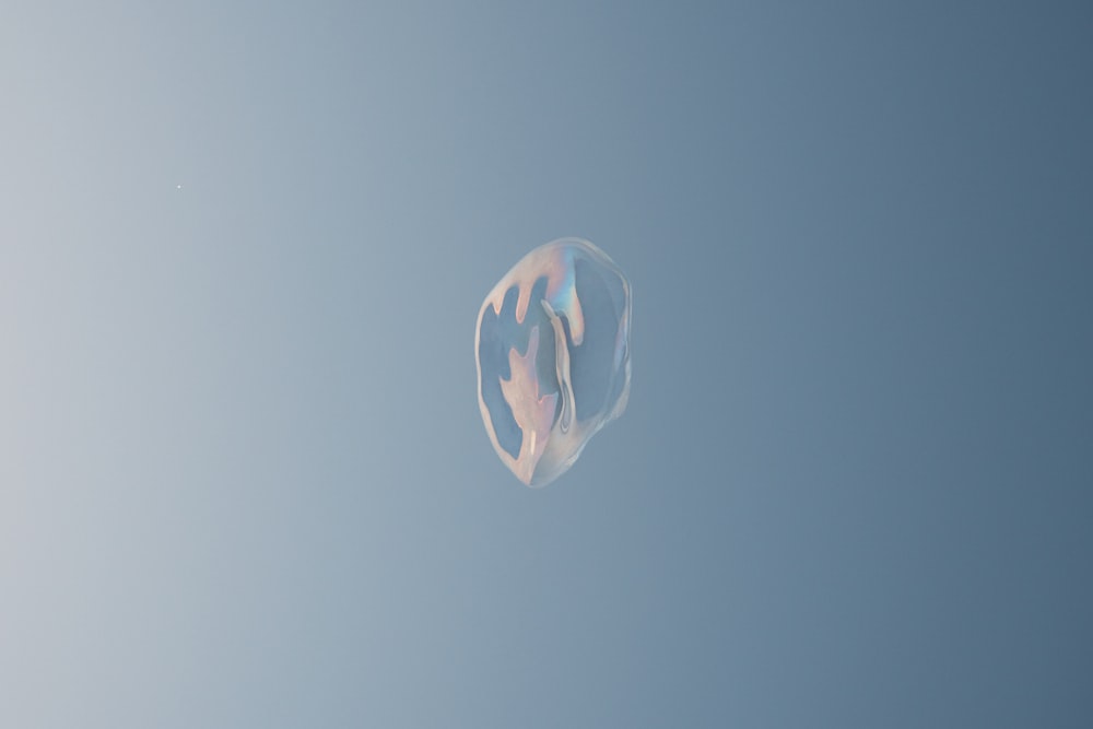 blue and white ball on white surface