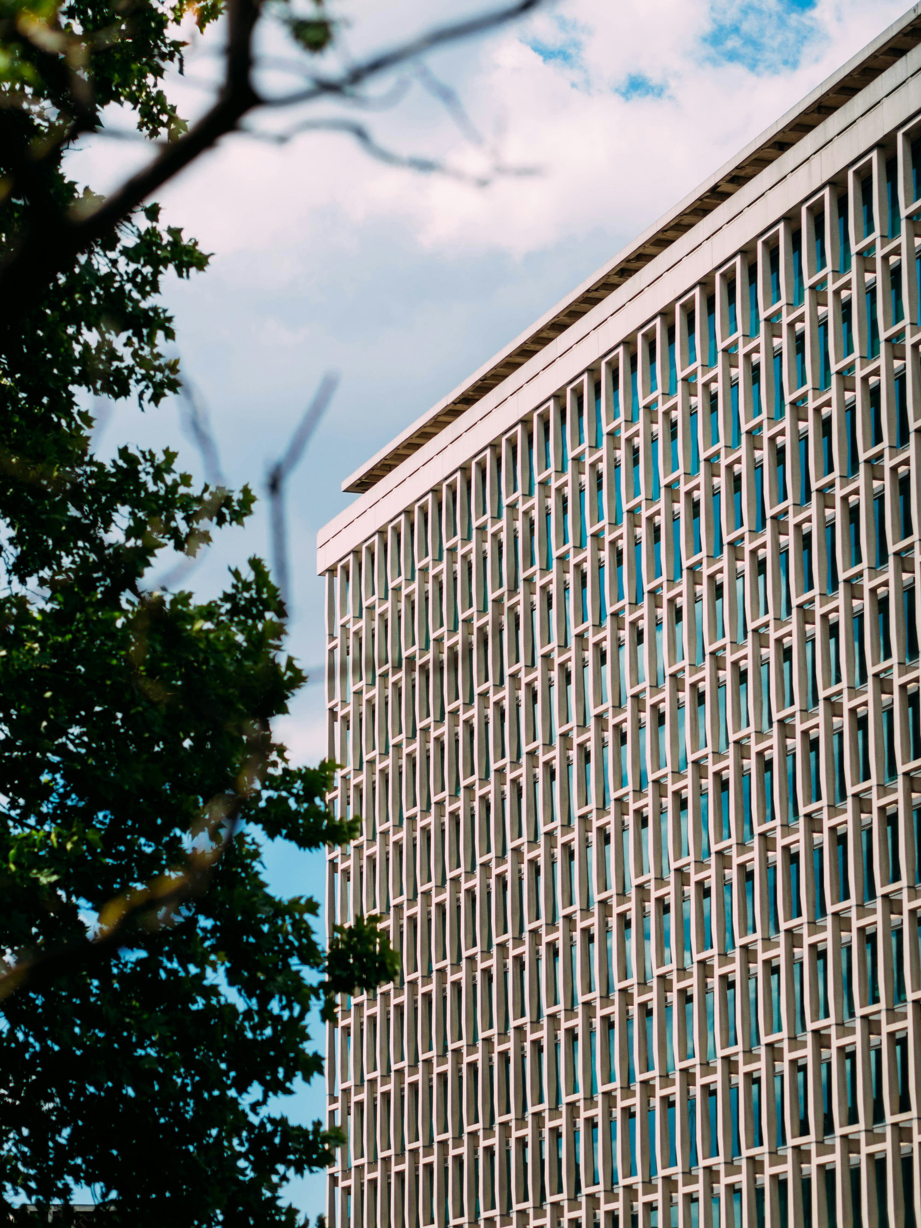 Photo by brechtdenil