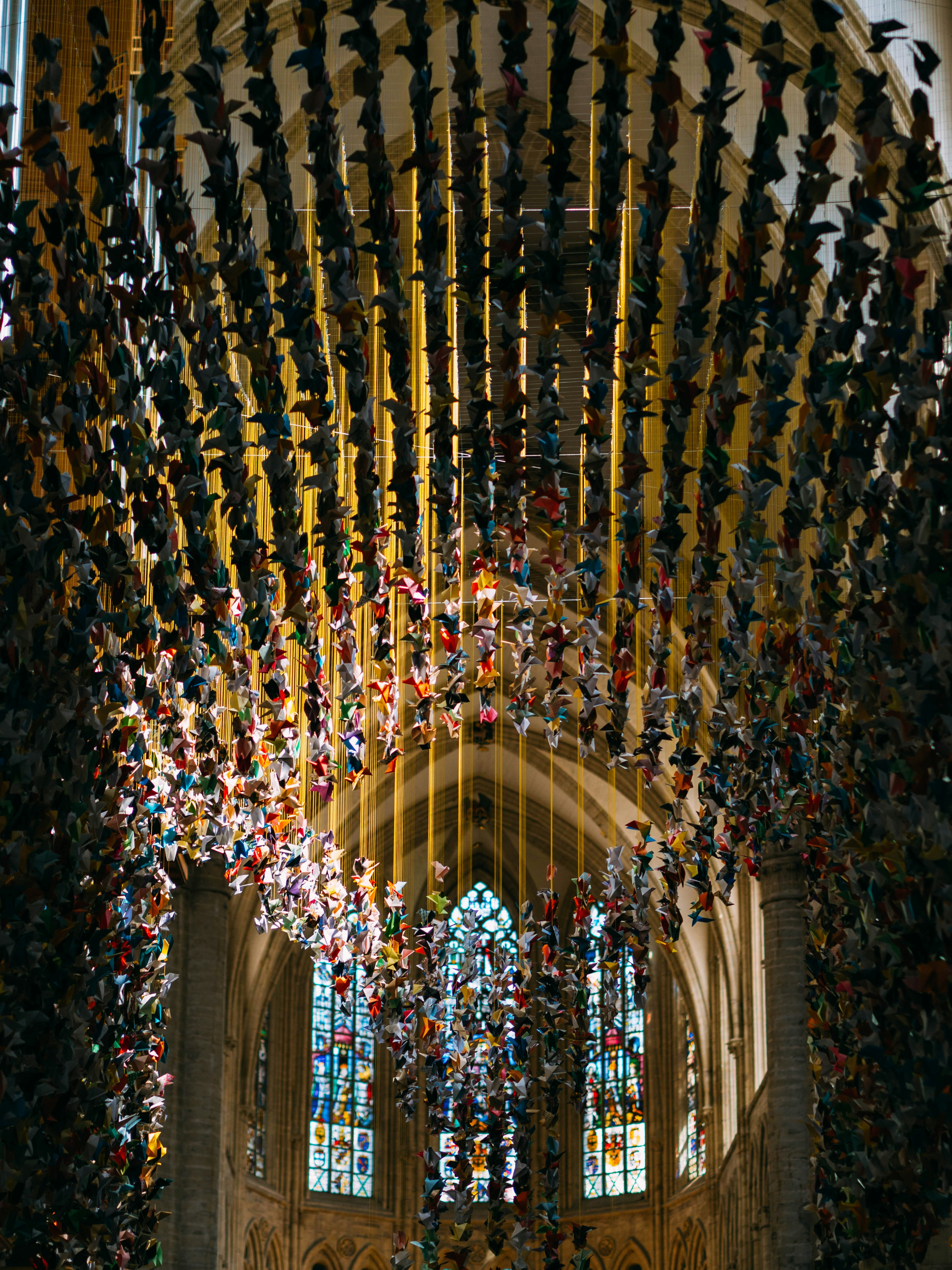 gold and blue string lights