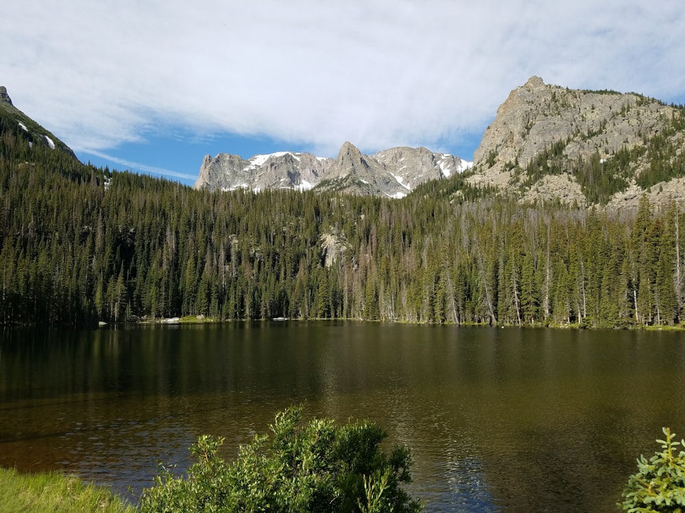 green trees near lake and mountain under blue sky during daytime