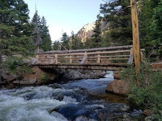 A family crossing a rustic wooden bridge over a bubbling mountain stream.