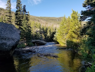 A serene Idaho river winding through pine forests on a sunny day.
