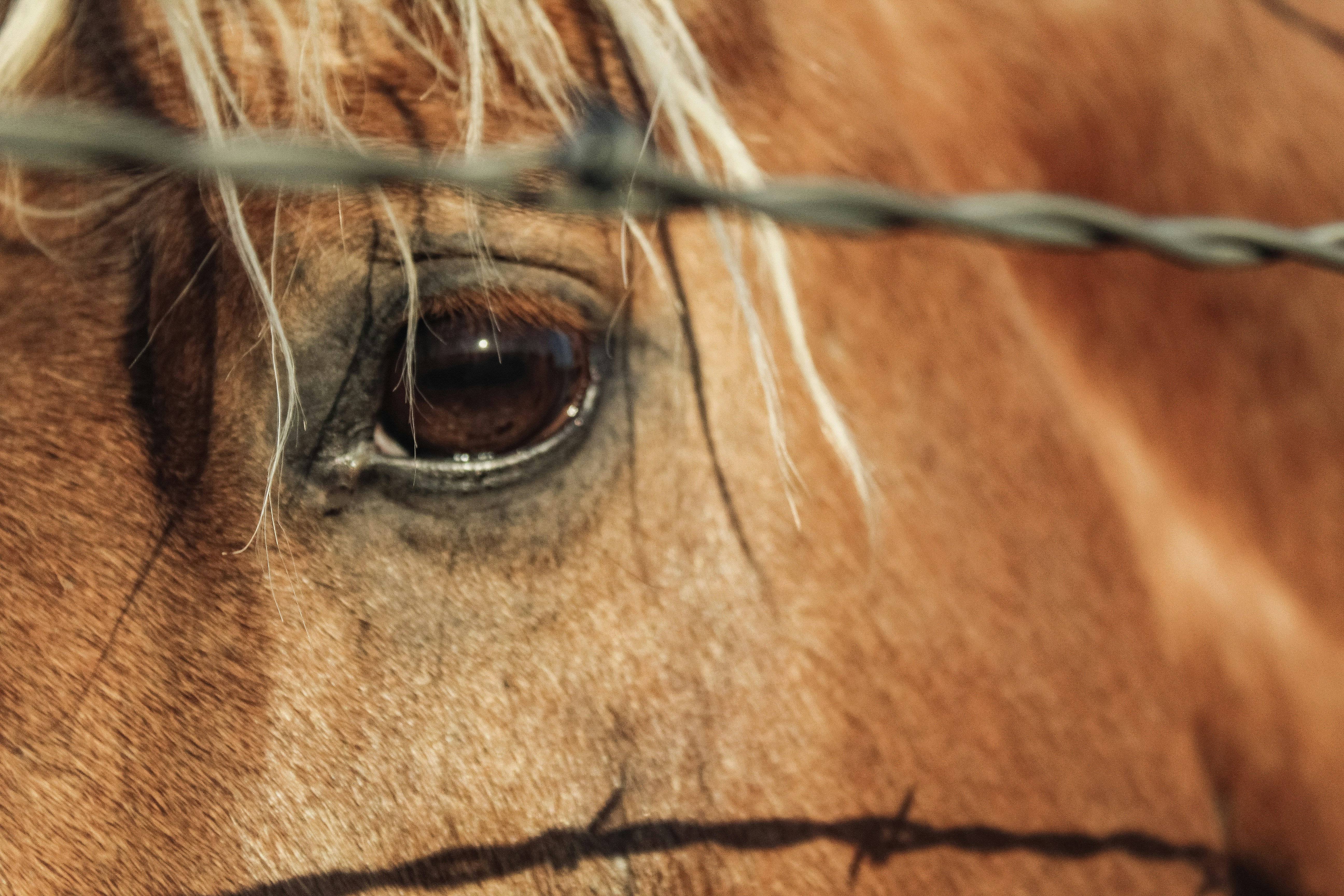 Photo by j_henrichscook