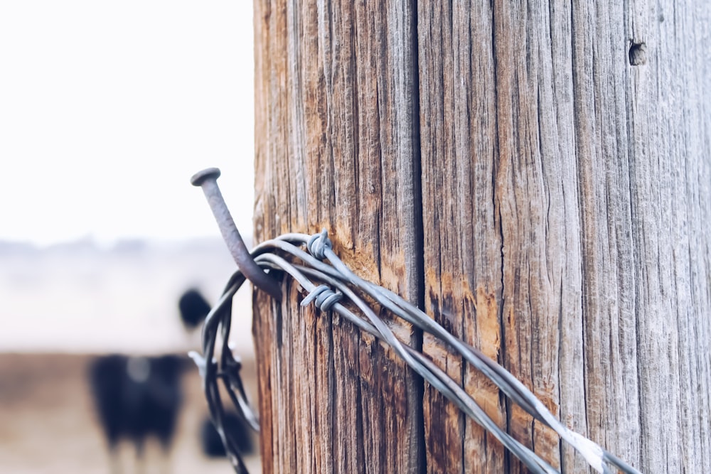 grey metal wire on brown wooden post