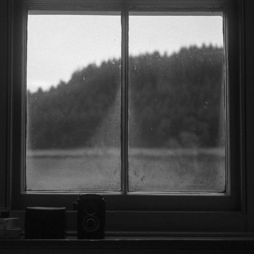 grayscale photo of window with a view of trees