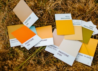 Pantone Customization for clothes