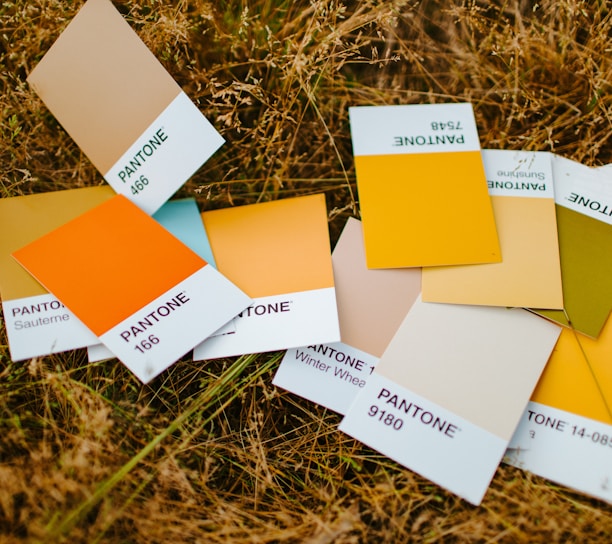 Pantone Customization for clothes