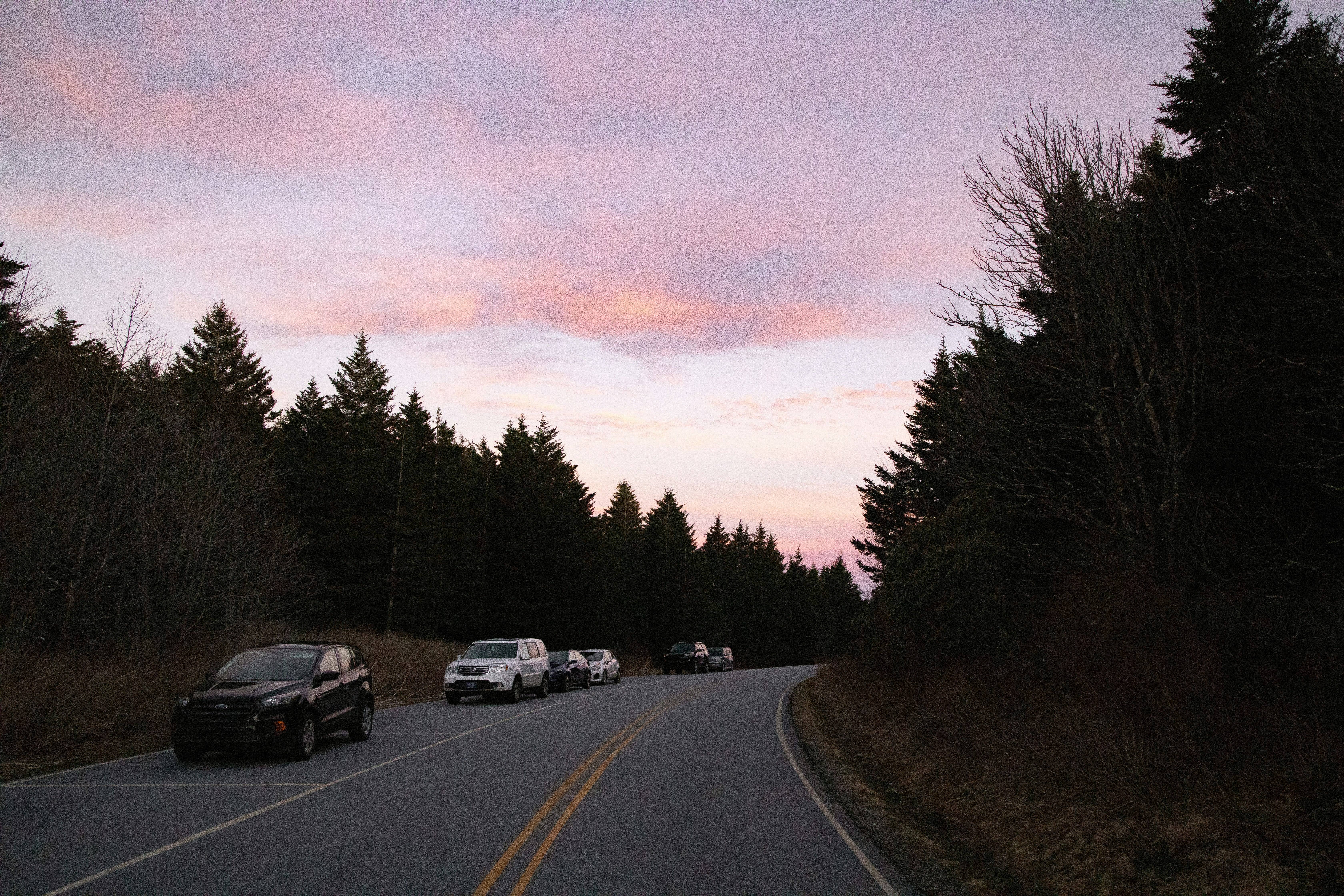 black car on road between trees during daytime