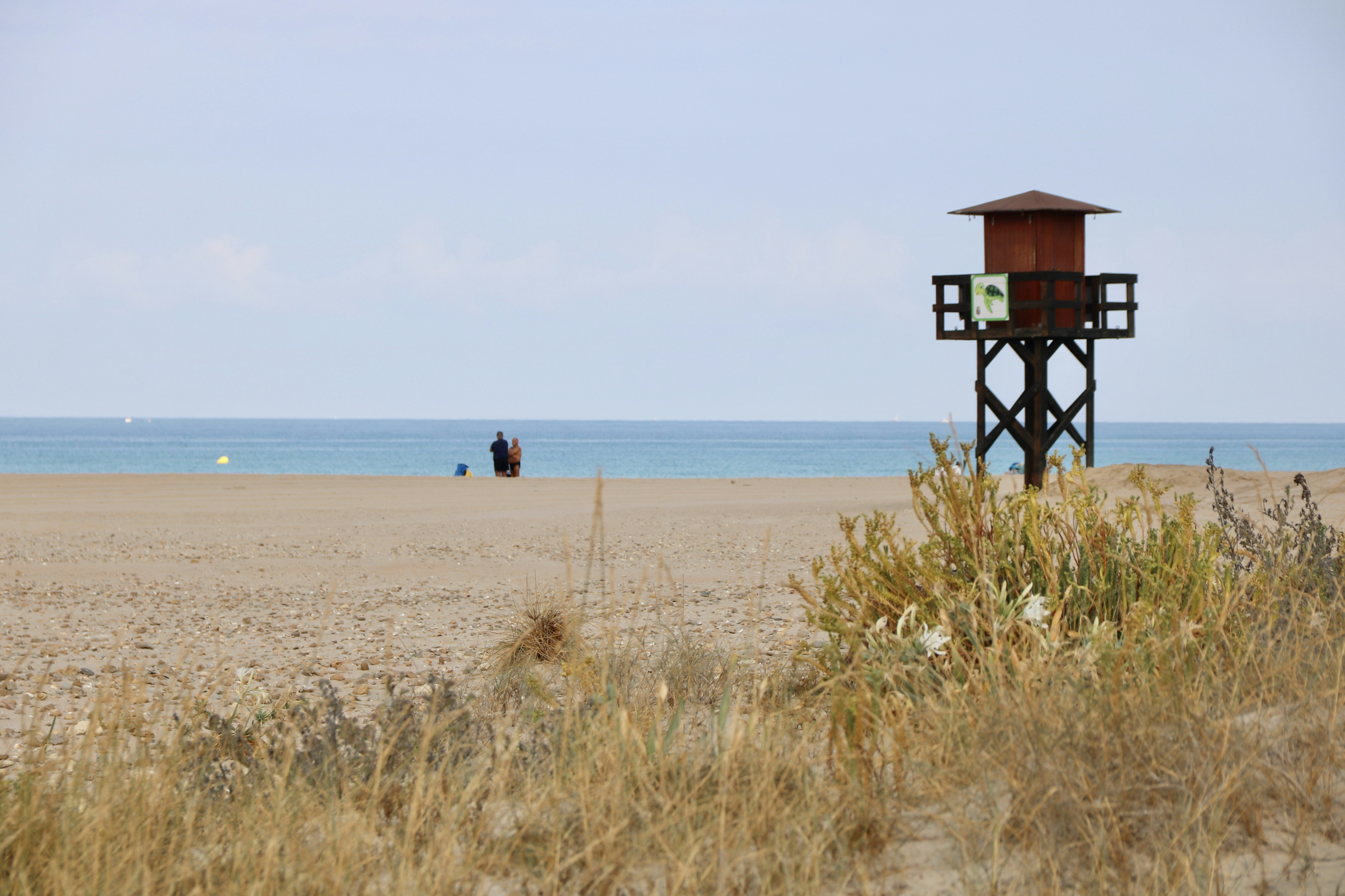 person walking on beach during daytime