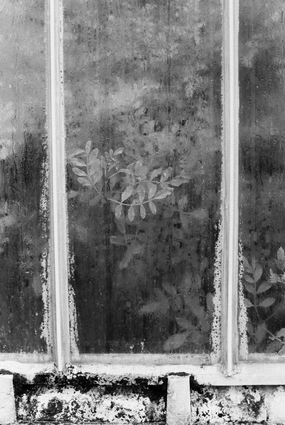 grayscale photo of floral glass window