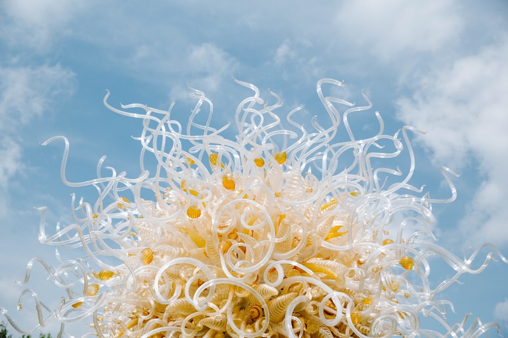 white and yellow sea creature under blue sky