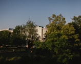 A modern residential building is partially visible behind a group of lush, green trees in a well-maintained park area. The sky is clear and blue, indicating a sunny, pleasant day.