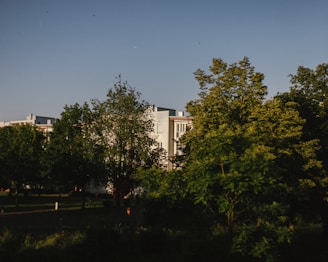 A modern residential building is partially visible behind a group of lush, green trees in a well-maintained park area. The sky is clear and blue, indicating a sunny, pleasant day.