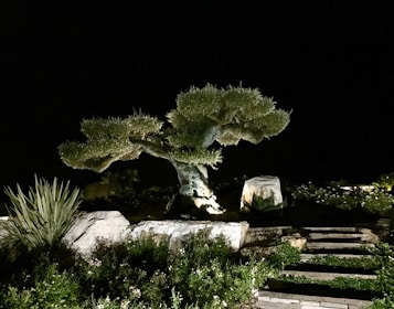 Before and after shots of a full outdoor transformation with new trees, rock work, and driveway.